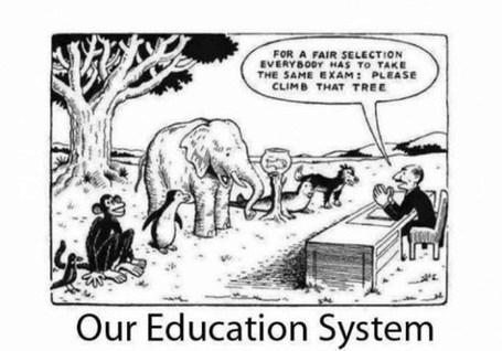 Why is the Education System So Bad in the US? image 0